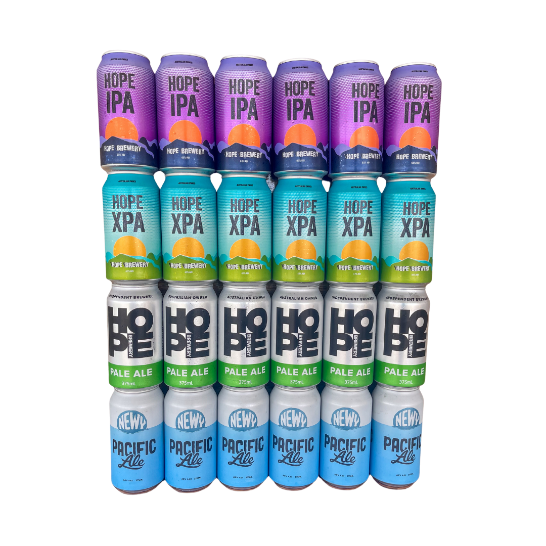 CASE OF MIXED ALES I 24 X 375ml CANS