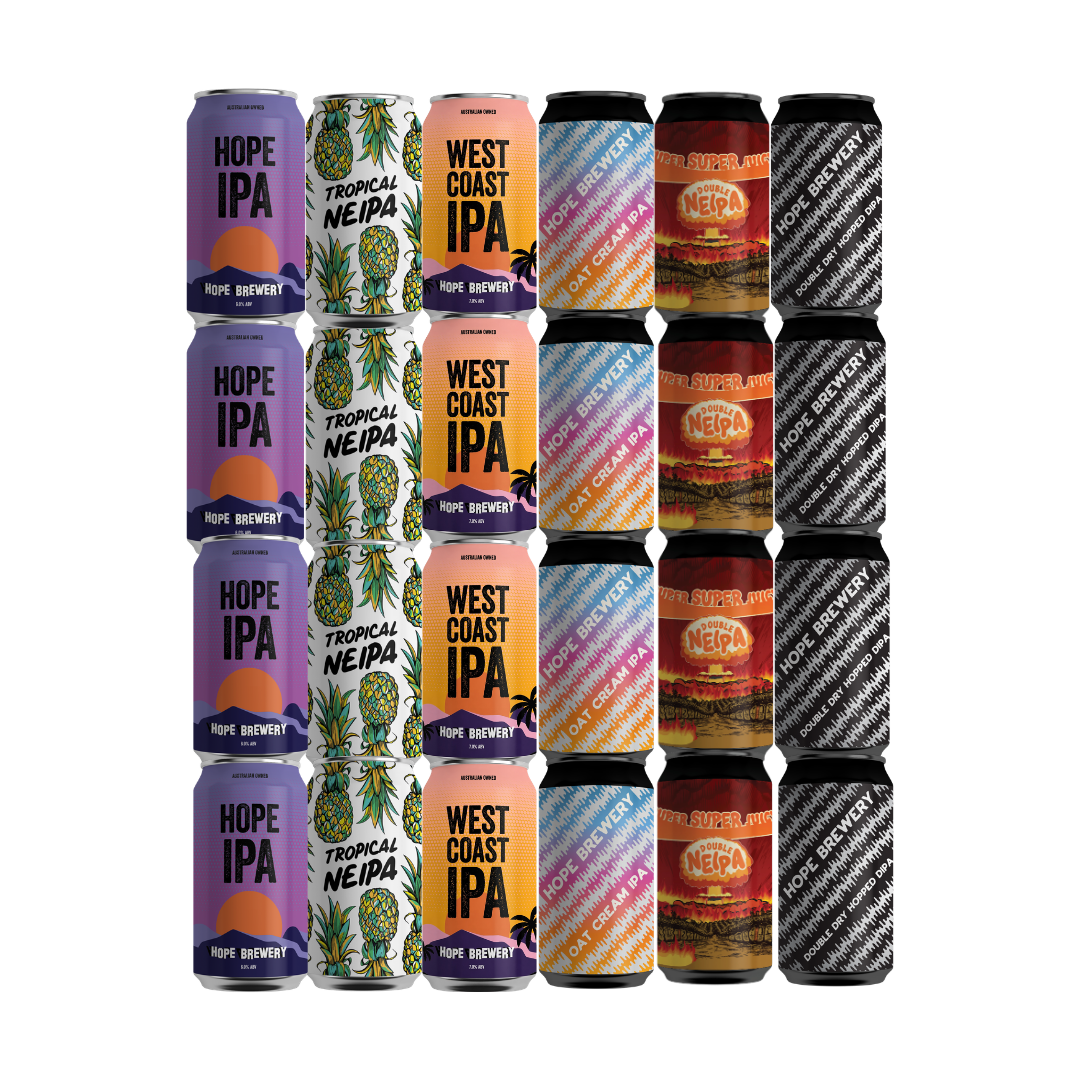 2026 SPRING IPA 24 X 375mL
