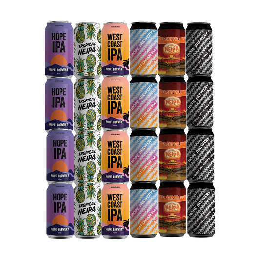 2026 SPRING IPA 24 X 375mL