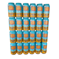 MEXICAN LAGER 24 X 375mL