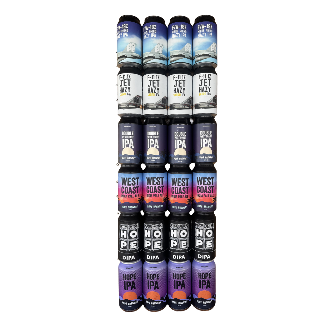 ONE UP ONE DOWN IPA CASE 24 X 375mL CANS