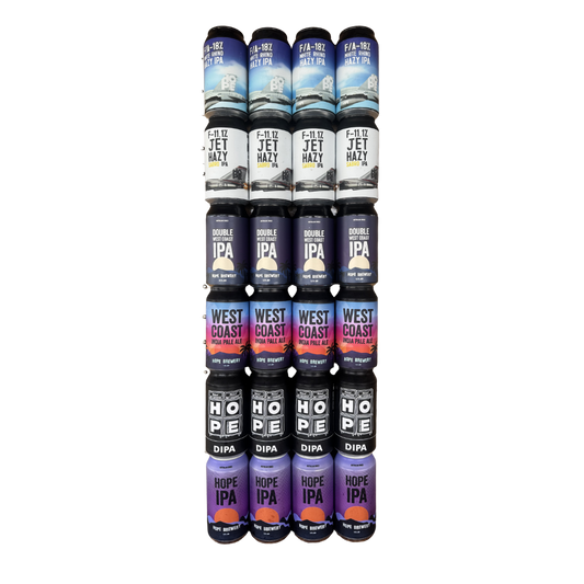 ONE UP ONE DOWN IPA CASE 24 X 375mL CANS