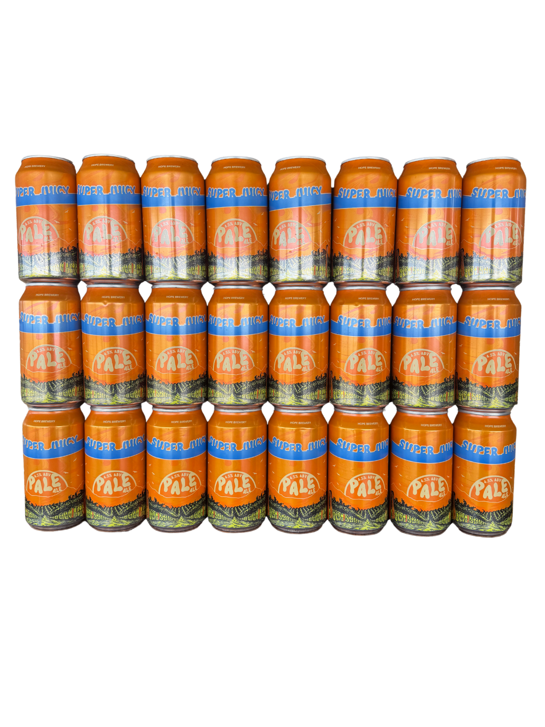 CASE OF SJ PALE ALE I 24 x 375ML I 24 CANS