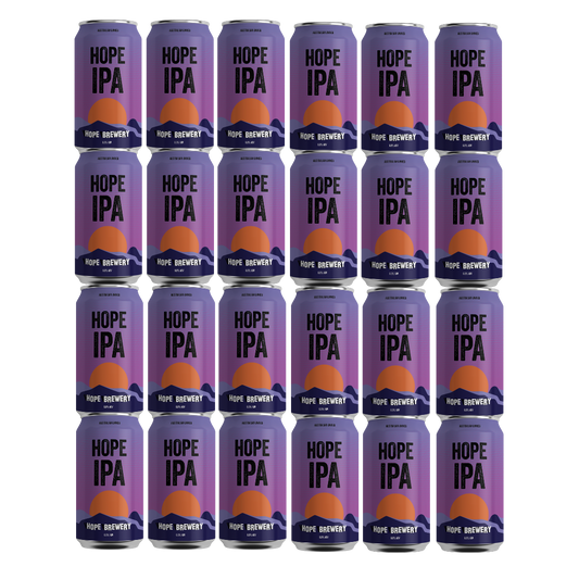 IPA 24 X 375mL