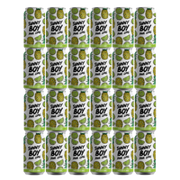 SUNNY BOY PINE LIME SUPER SOUR 24 X 375mL